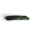 KTL JUMBO PICKLE SQUISHY (36cm's)