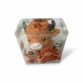Highland Cow Jumbo Squishy